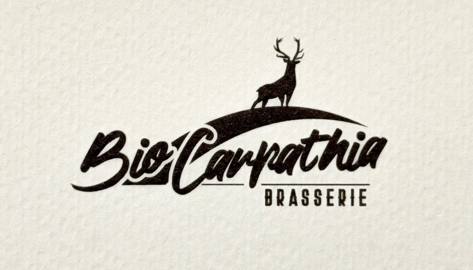 Logo-ul Brasserie Bio Carpathia aplicat pe o suprafață texturată albă